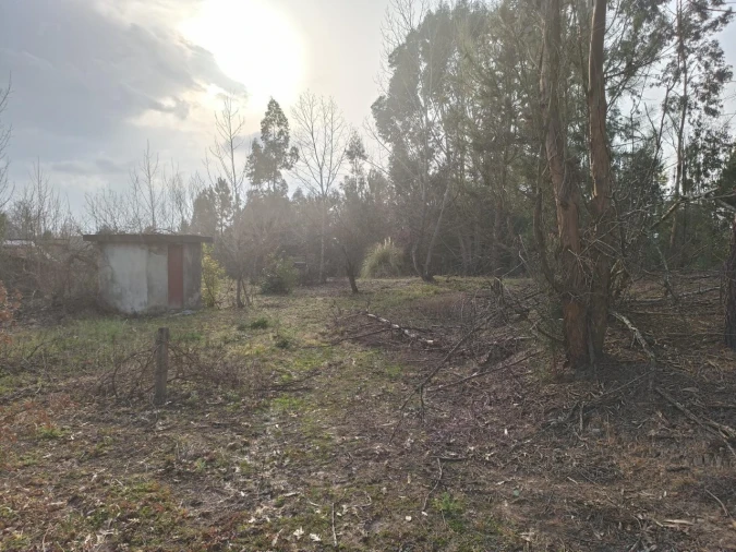 Moradia T2 para Venda em Travanca de Lagos Foto 16
