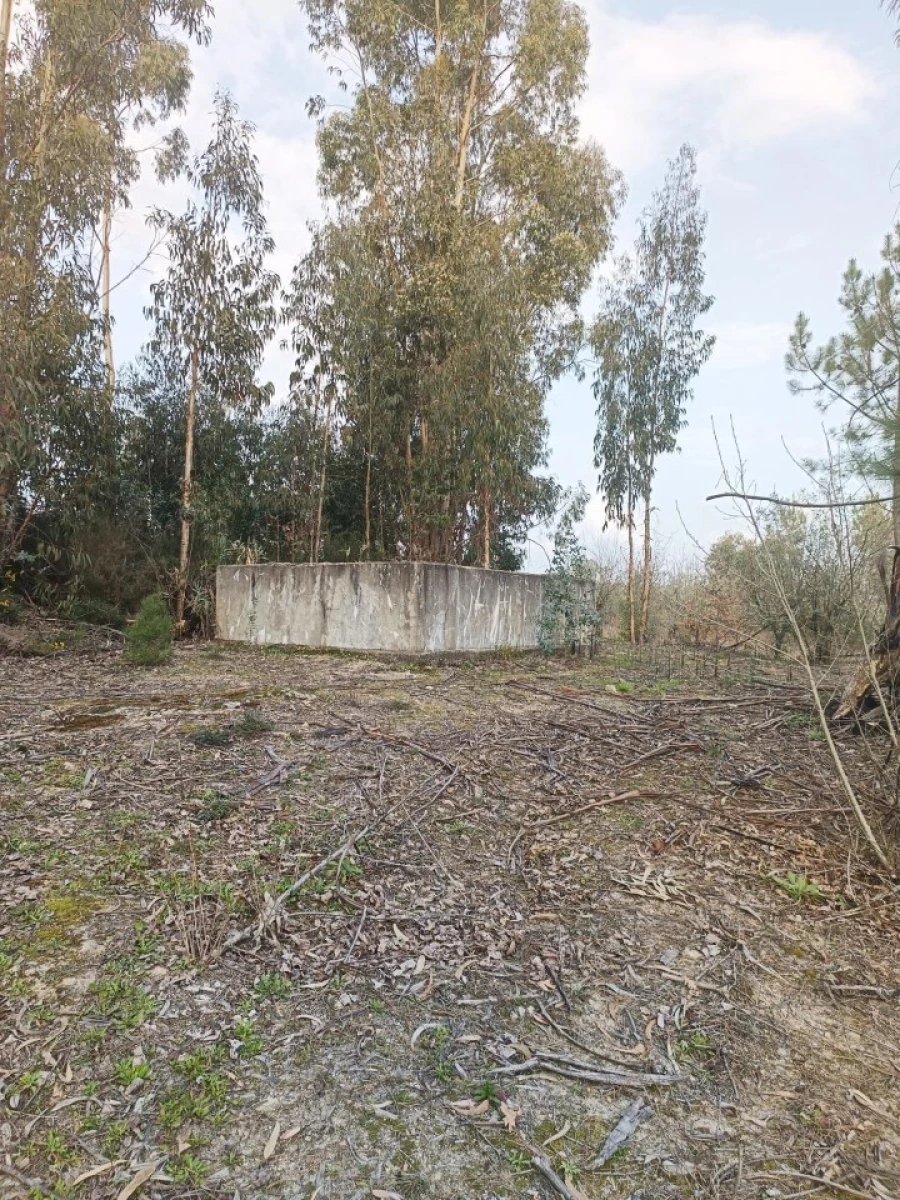 Moradia T2 para Venda em Travanca de Lagos Foto 18