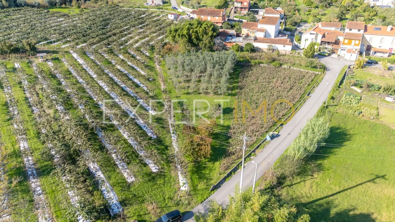 Terreno para Venda em Almalagues Foto 1