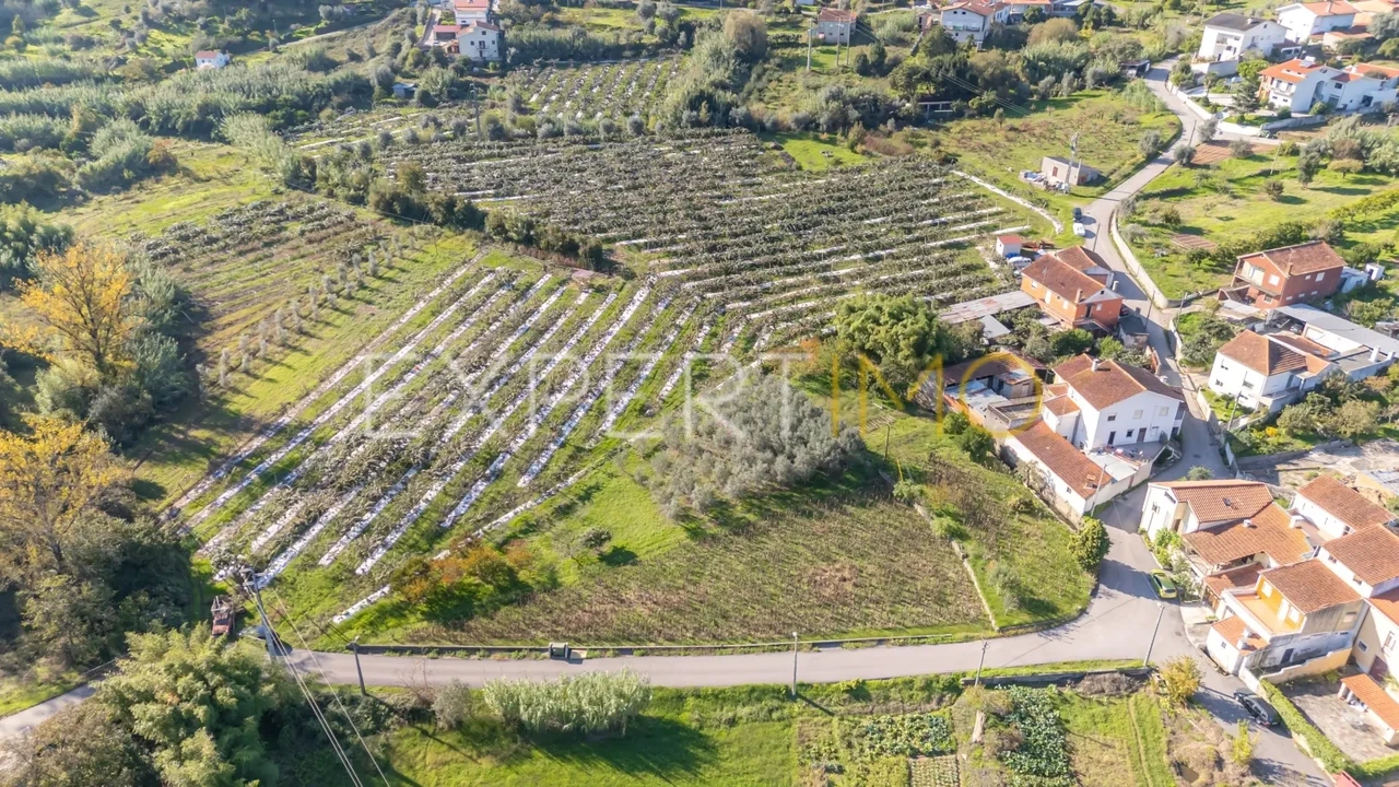 Terreno para Venda em Almalagues Foto 3