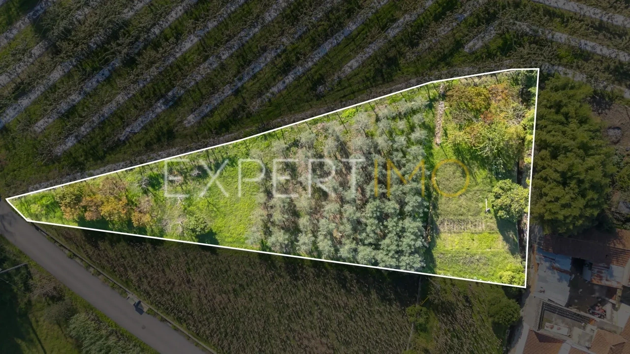 Terreno para Venda em Almalagues Foto 4