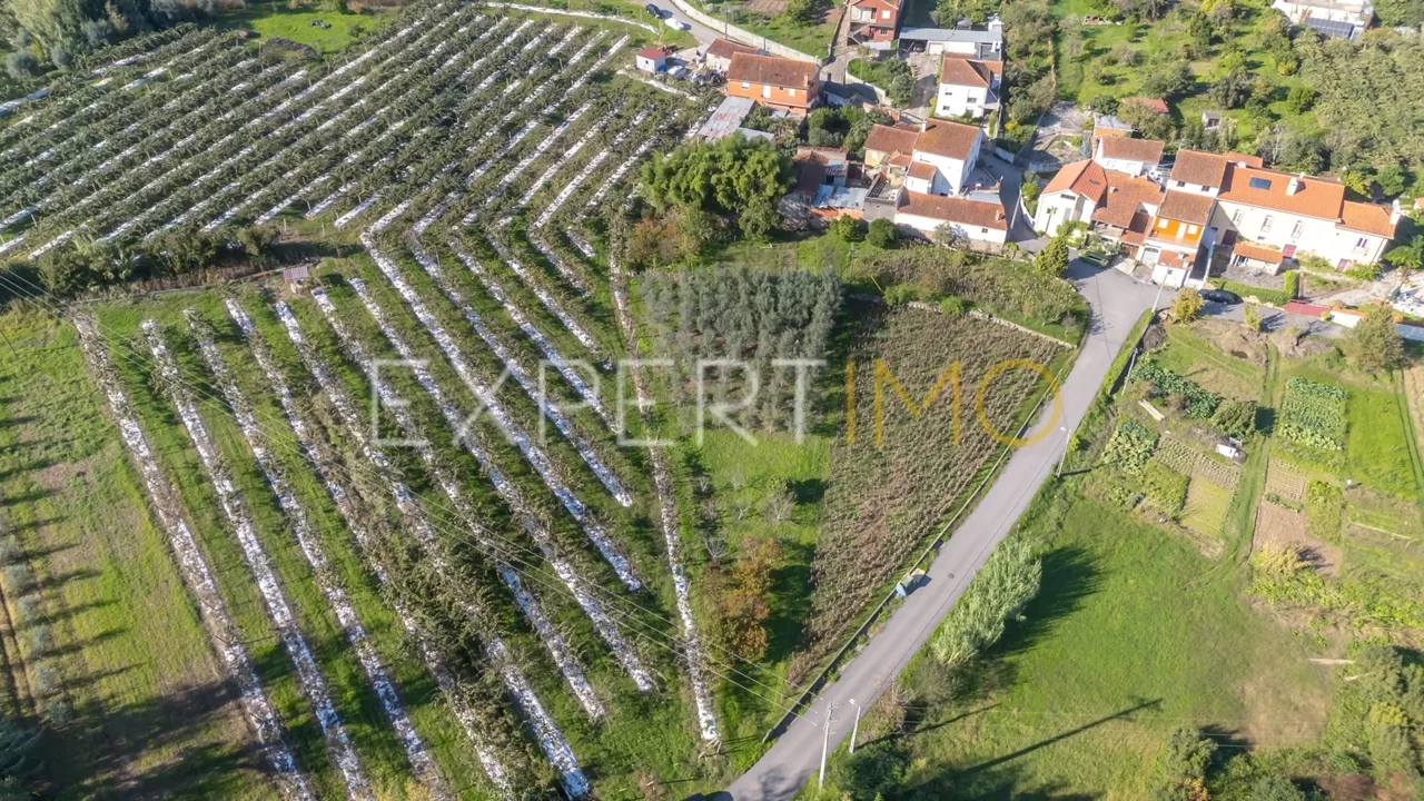 Terreno para Venda em Almalagues Foto 9