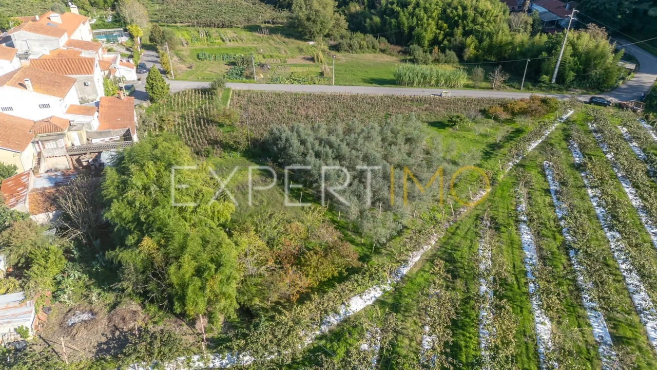 Terreno para Venda em Almalagues Foto 10