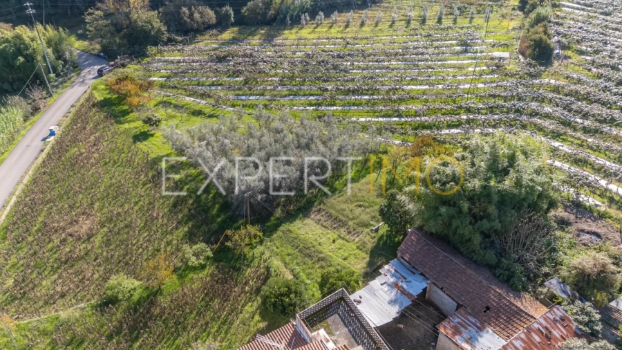 Terreno para Venda em Almalagues Foto 7