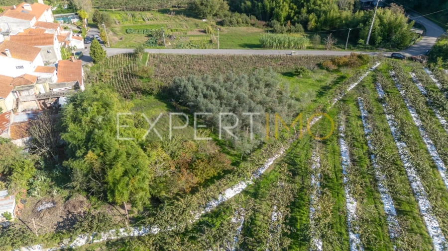 Terreno para Venda em Almalagues Foto 8