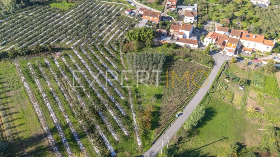 Terreno para Venda em Almalagues Foto 9
