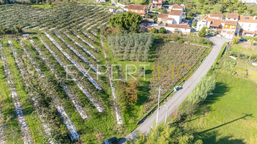 Terreno para Venda em Almalagues