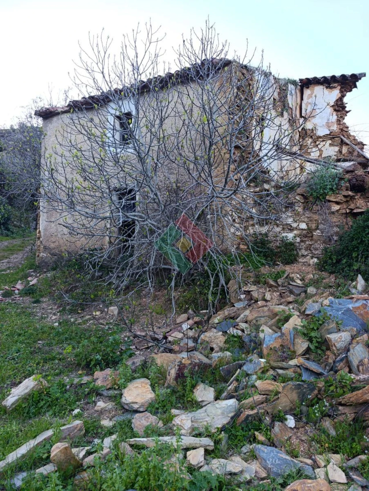 Quinta T1 para Venda em Reguengo e São Julião Foto 3