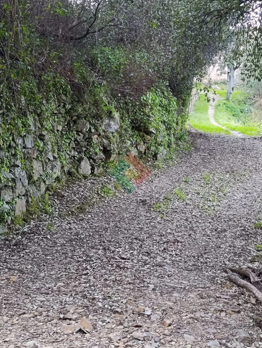 Quinta T1 para Venda em Reguengo e São Julião Foto 4