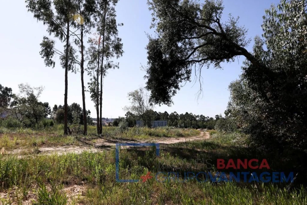 Terreno P/ Prédio para Venda em Rio Meão Foto 6
