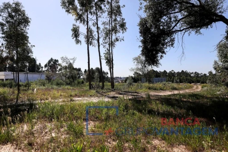Terreno P/ Prédio para Venda em Rio Meão Foto 5