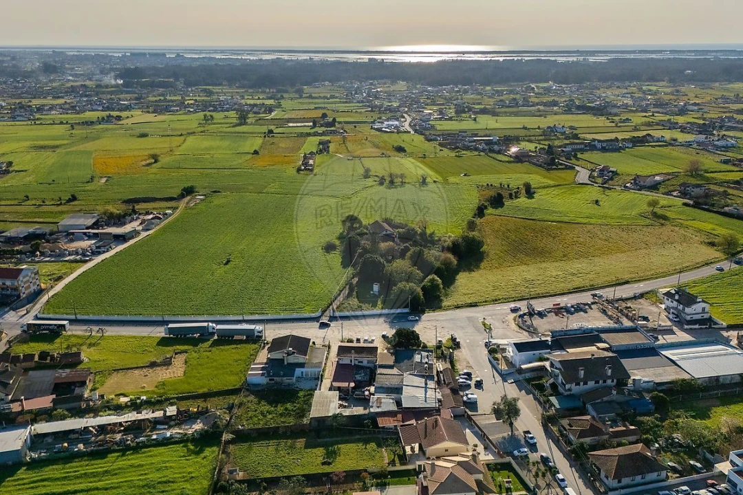 Negócio para Venda em Avanca Foto 10