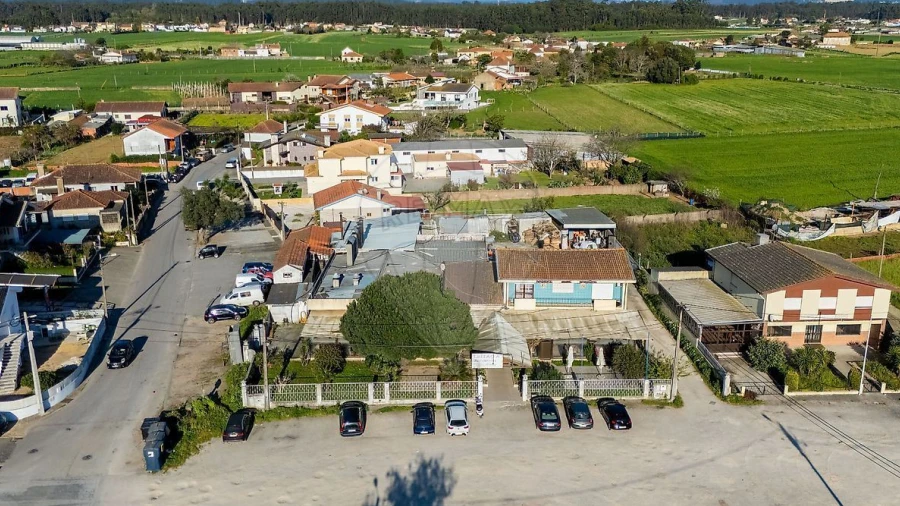 Negócio para Venda em Avanca