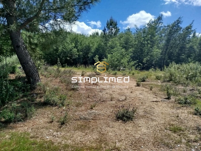 Terreno para Venda em Teixoso e Sarzedo Foto 23