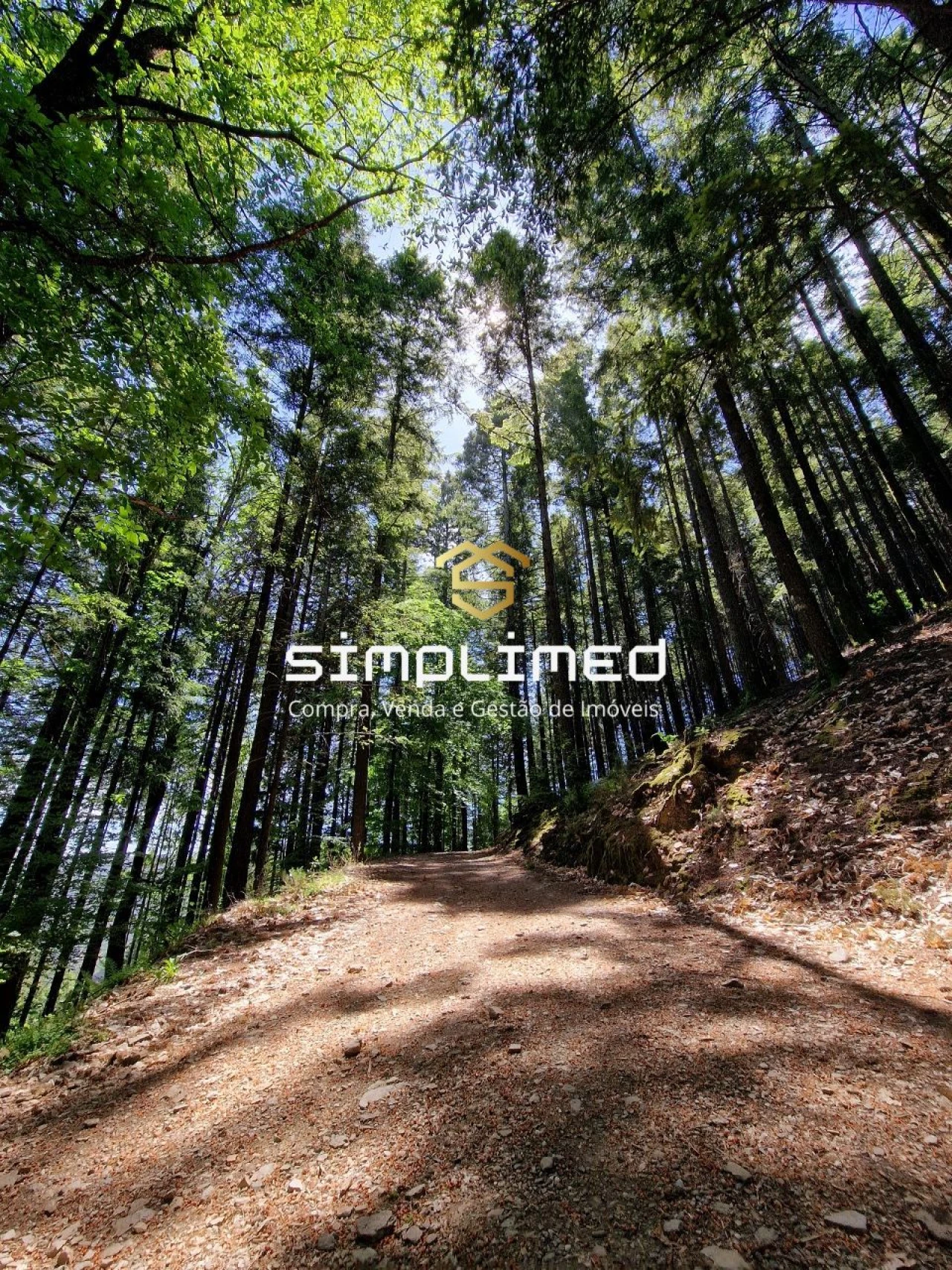 Terreno para Venda em Belmonte e Colmeal da Torre Foto 26