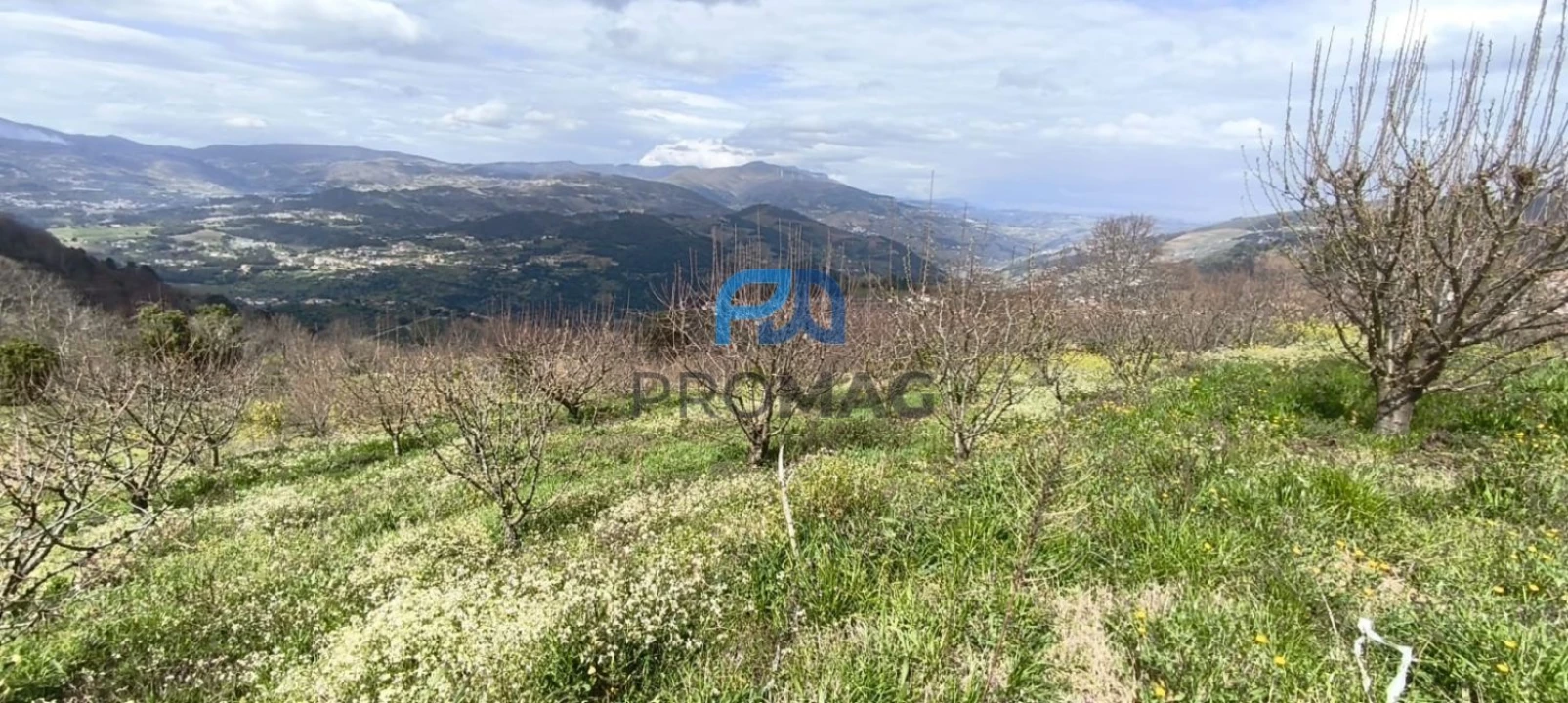Terreno para Venda em São João de Fontoura Foto 33