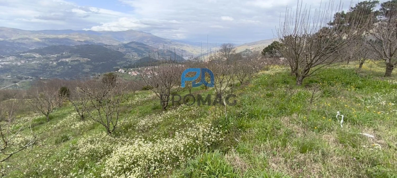 Terreno para Venda em São João de Fontoura Foto 17
