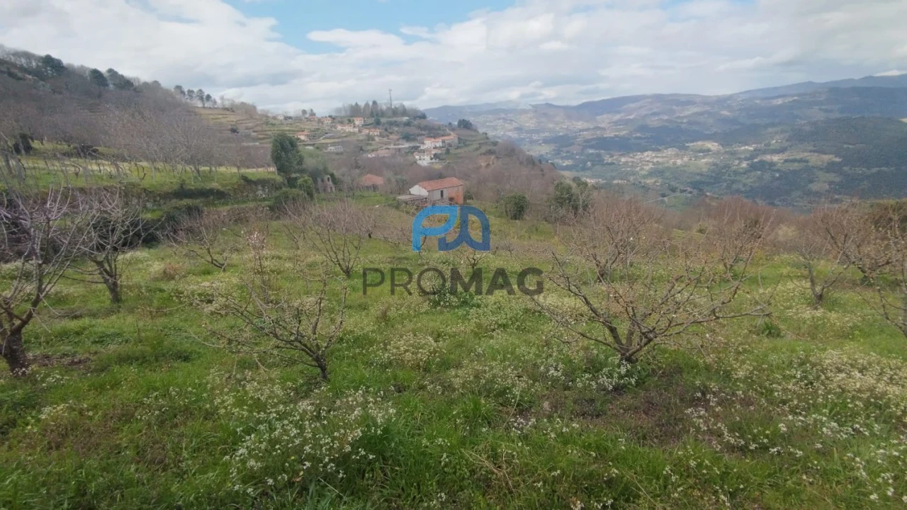 Terreno para Venda em São João de Fontoura Foto 5