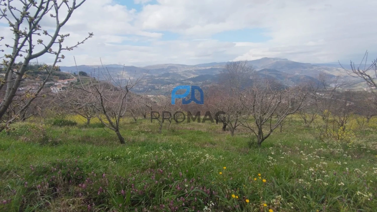 Terreno para Venda em São João de Fontoura Foto 14