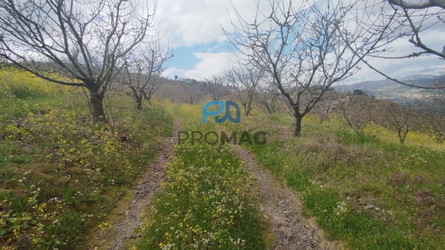 Terreno para Venda em São João de Fontoura Foto 6