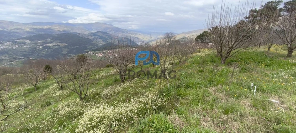 Terreno para Venda em São João de Fontoura Foto 17