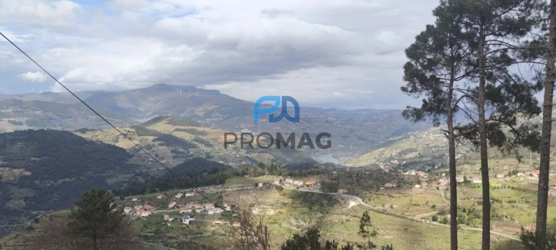 Terreno para Venda em São João de Fontoura Foto 52