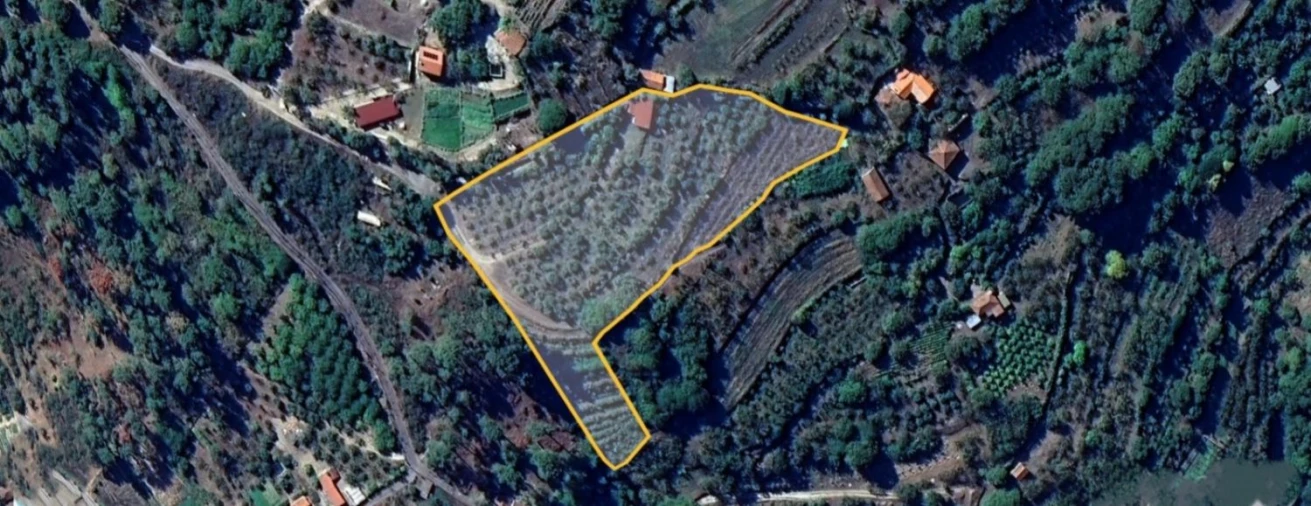 Terreno para Venda em São João de Fontoura Foto 57