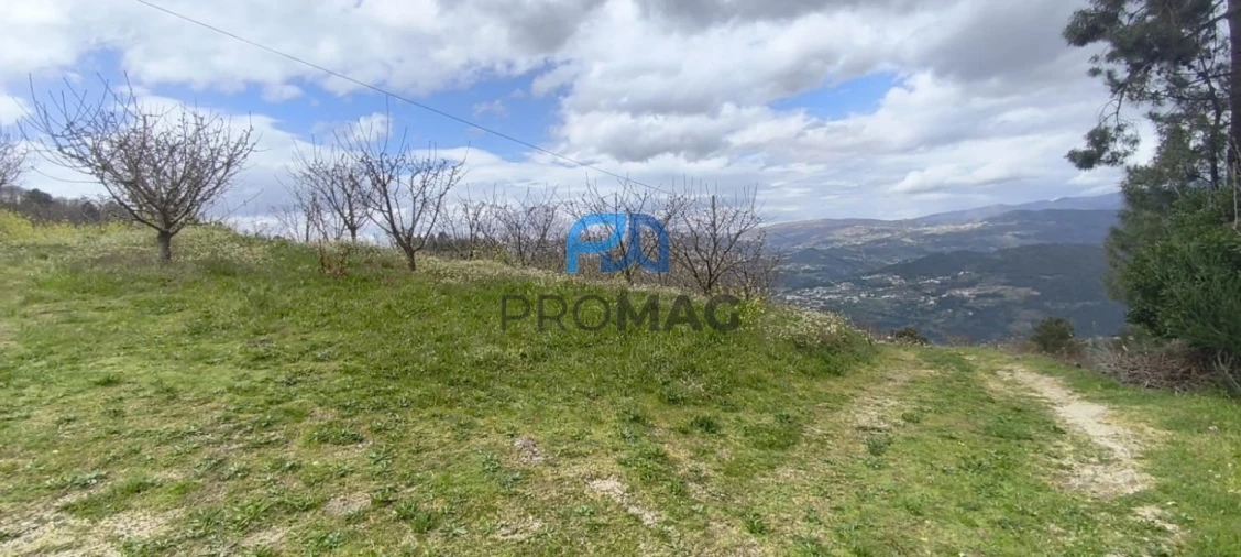Terreno para Venda em São João de Fontoura Foto 49
