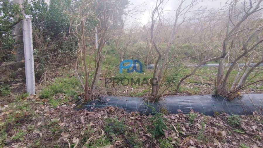 Terreno para Venda em São João de Fontoura Foto 39