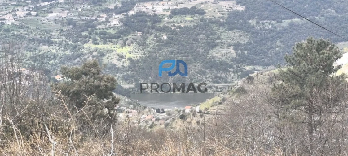 Terreno para Venda em São João de Fontoura Foto 51
