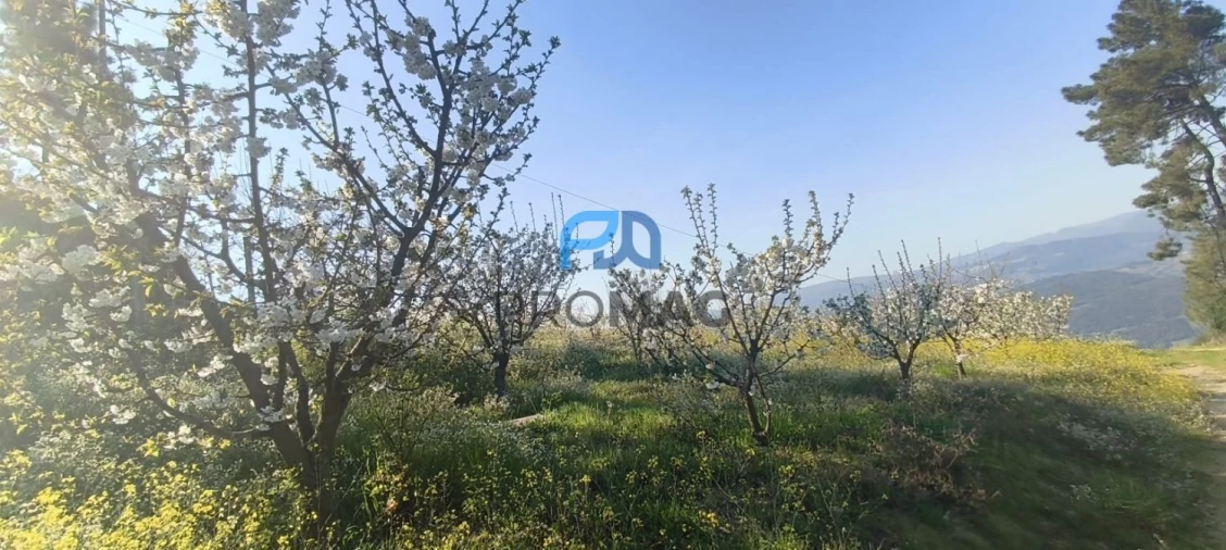 Terreno para Venda em São João de Fontoura Foto 12