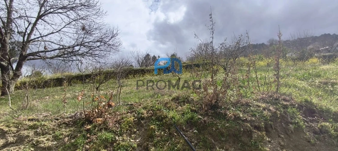 Terreno para Venda em São João de Fontoura Foto 32