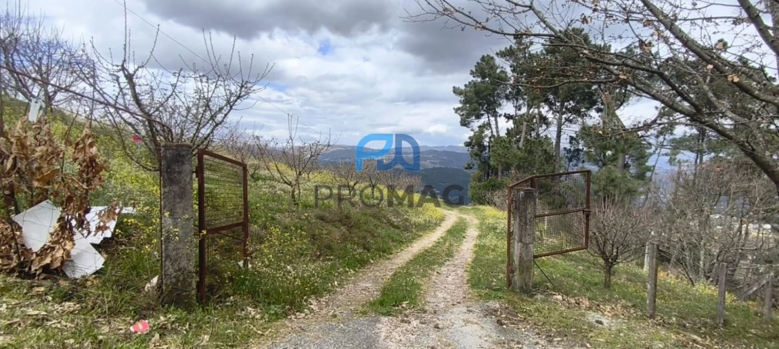 Terreno para Venda em São João de Fontoura Foto 1
