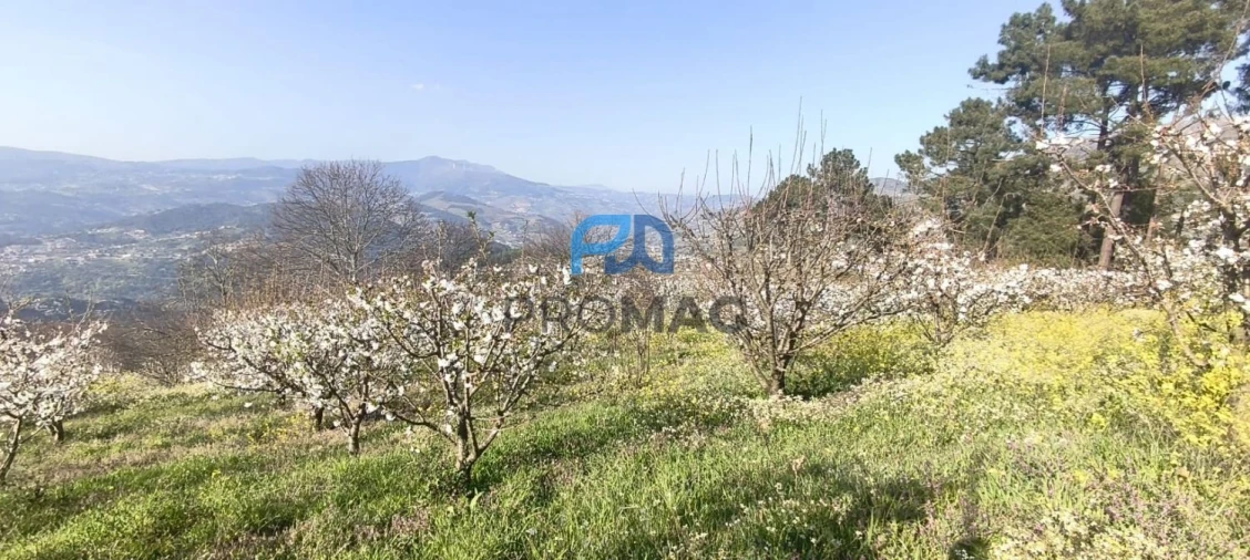 Terreno para Venda em São João de Fontoura Foto 8
