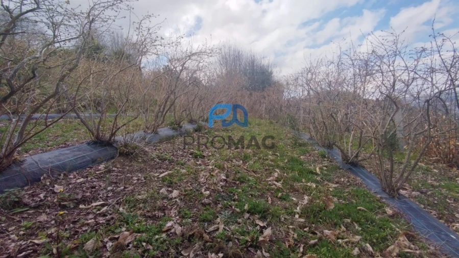 Terreno para Venda em São João de Fontoura Foto 42