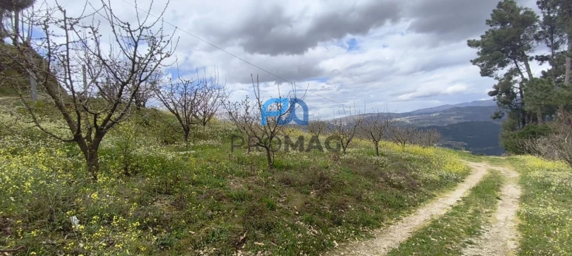 Terreno para Venda em São João de Fontoura Foto 28