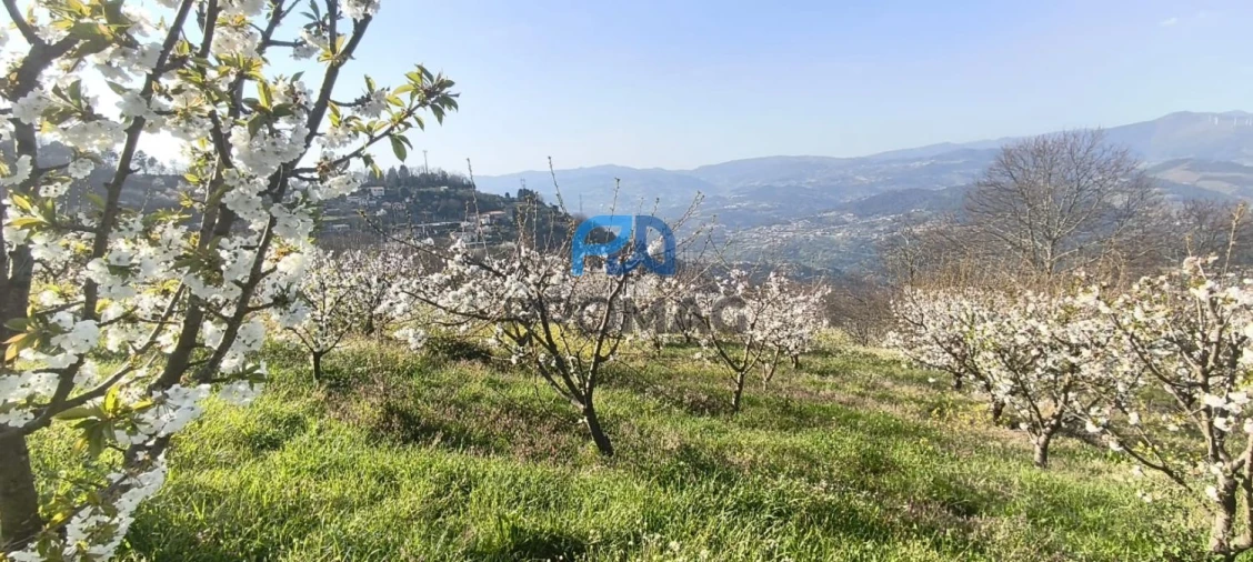 Terreno para Venda em São João de Fontoura Foto 7