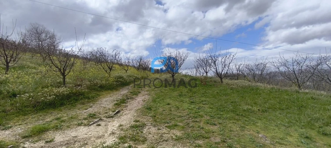 Terreno para Venda em São João de Fontoura Foto 3