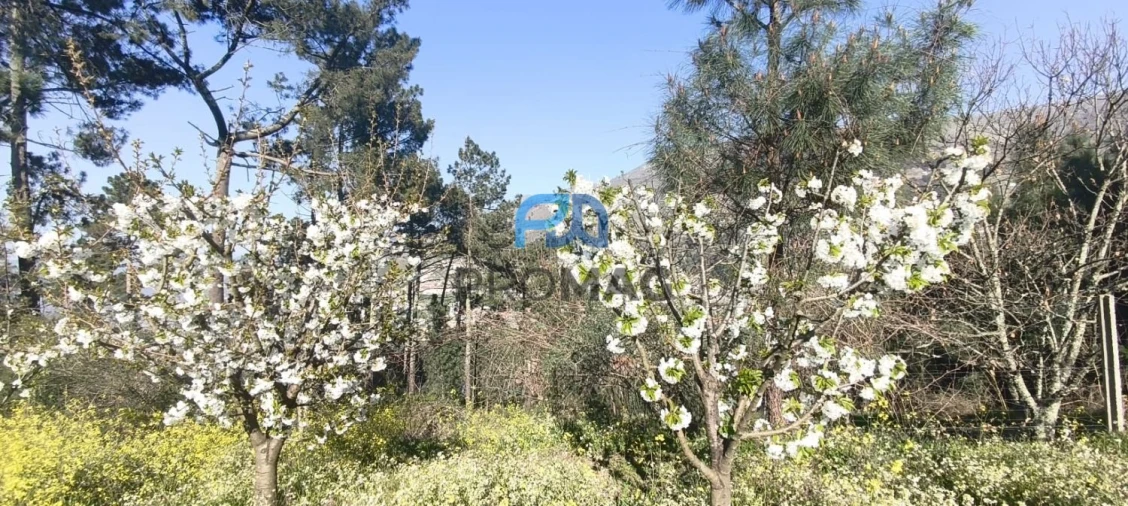 Terreno para Venda em São João de Fontoura Foto 11