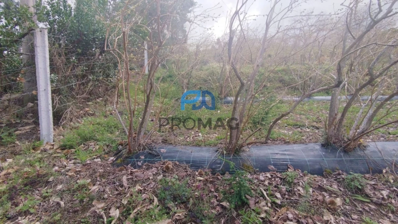 Terreno para Venda em São João de Fontoura Foto 39