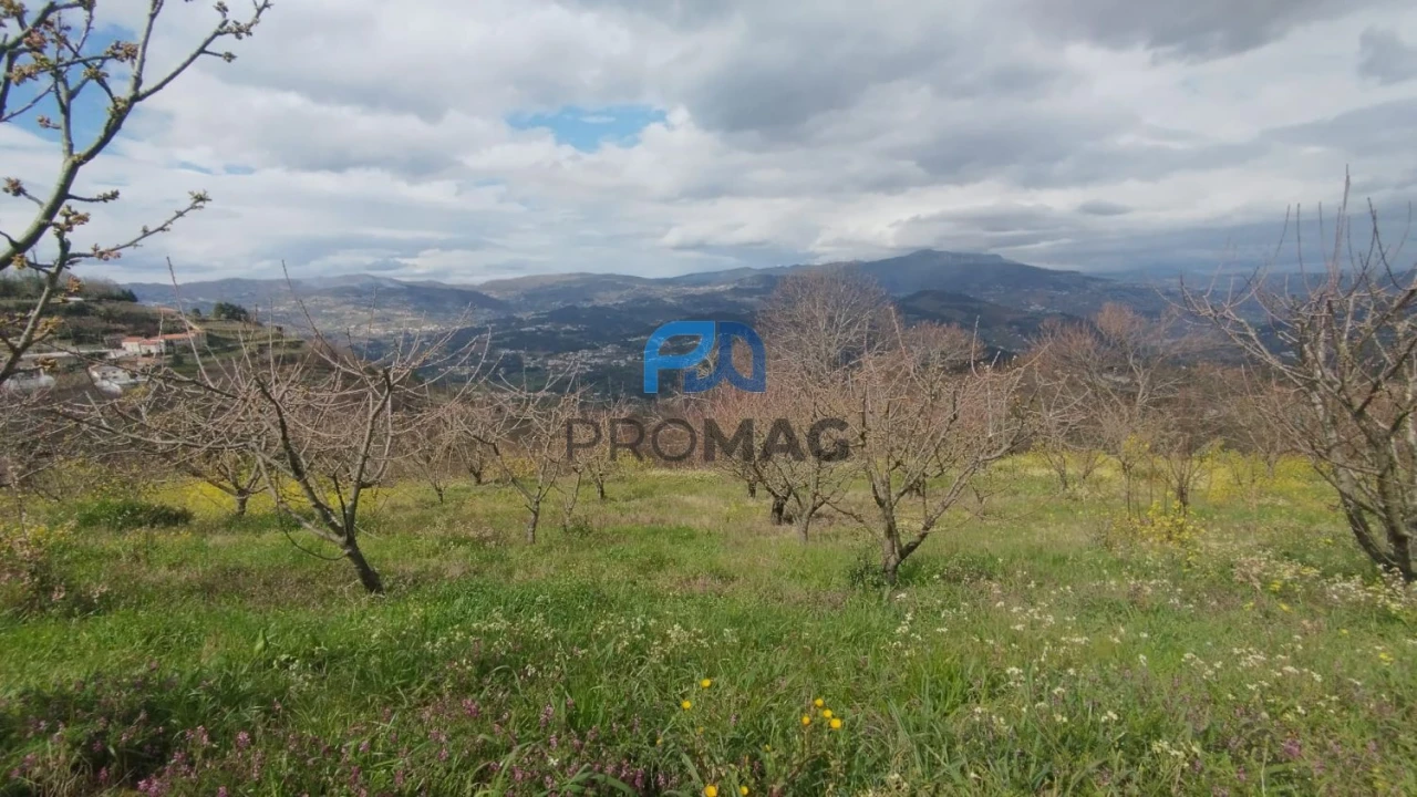 Terreno para Venda em São João de Fontoura Foto 4