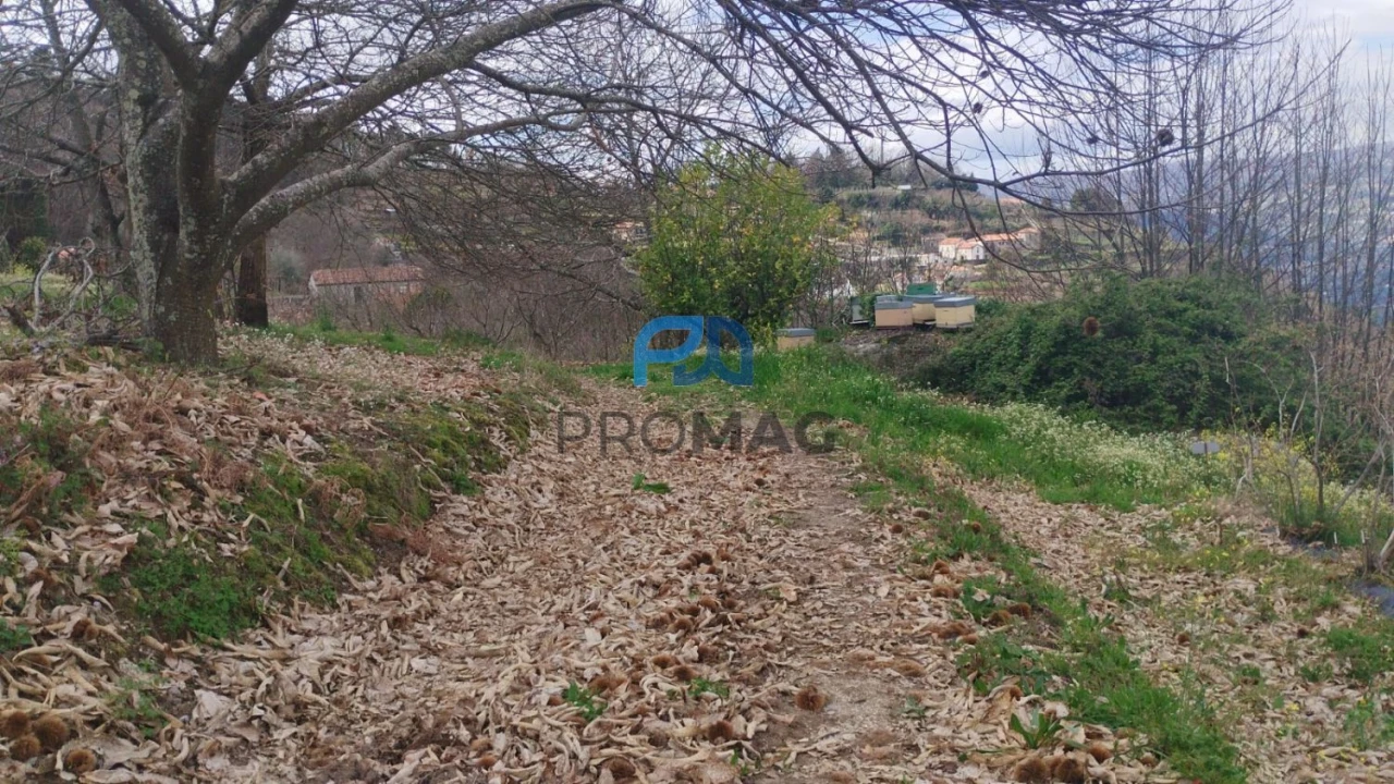 Terreno para Venda em São João de Fontoura Foto 30