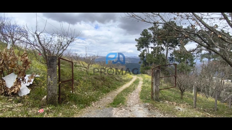 Terreno para Venda em São João de Fontoura