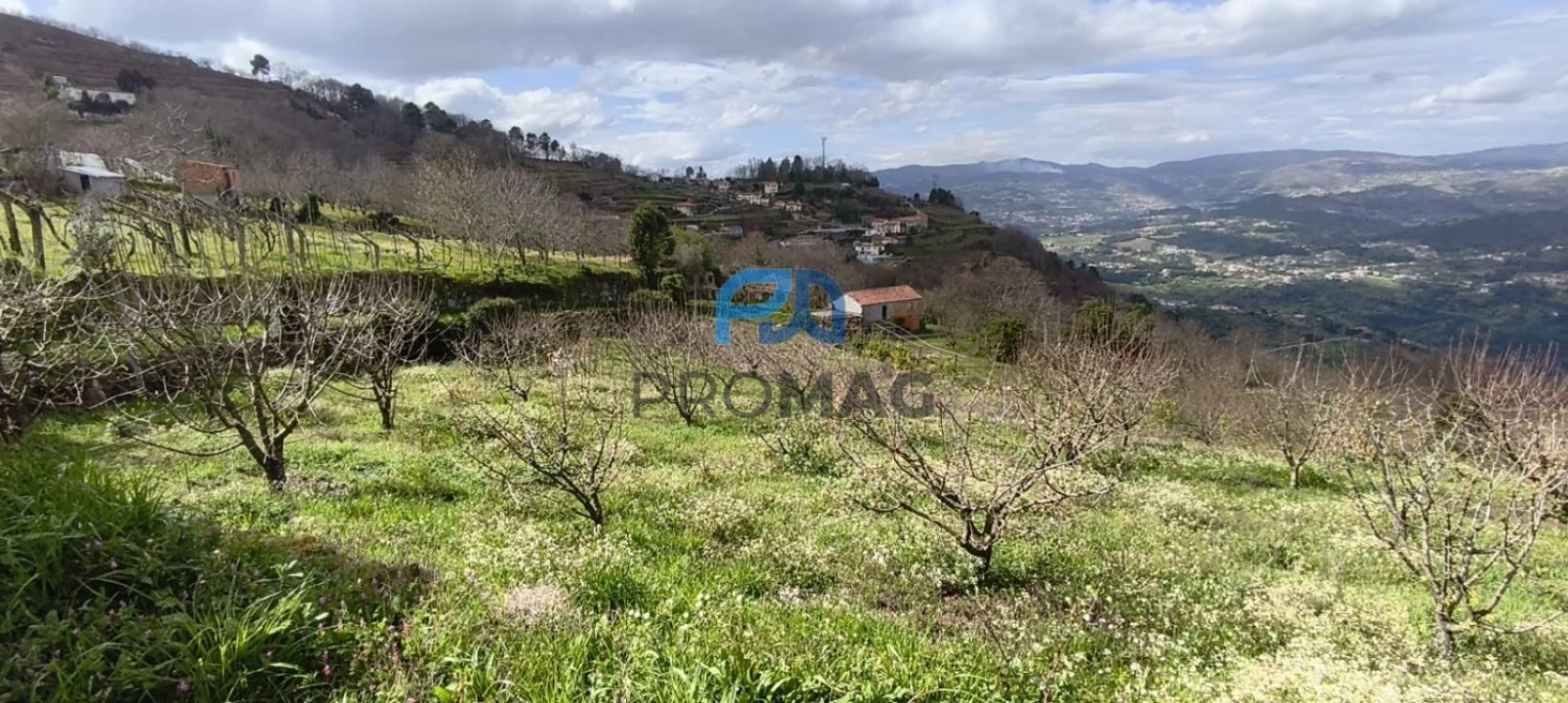 Terreno para Venda em São João de Fontoura Foto 37