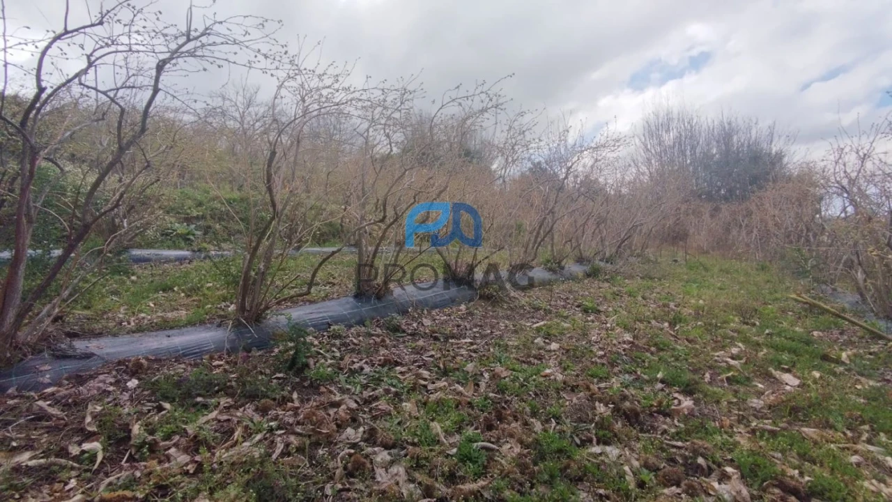 Terreno para Venda em São João de Fontoura Foto 43