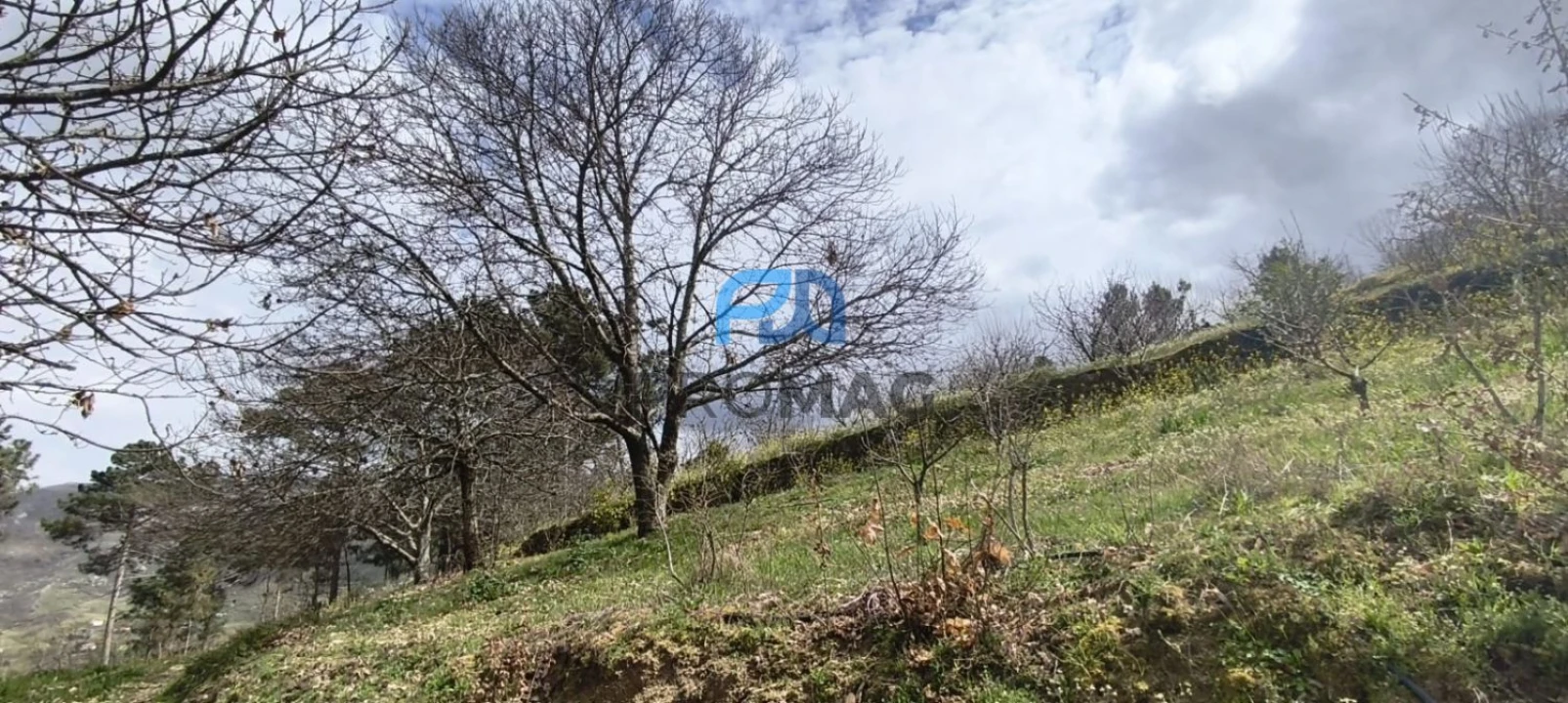 Terreno para Venda em São João de Fontoura Foto 36