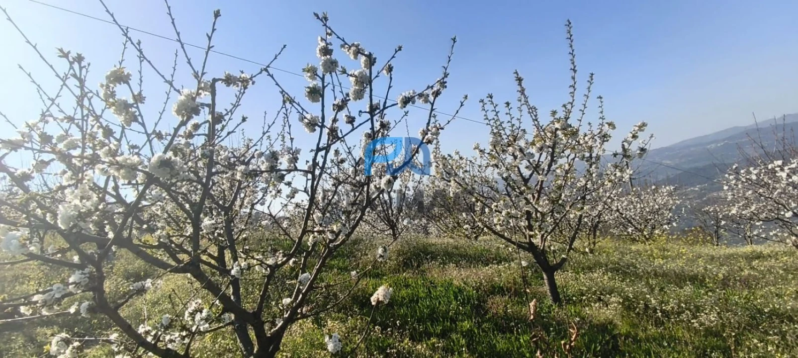 Terreno para Venda em São João de Fontoura Foto 10