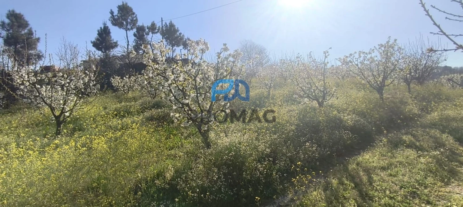 Terreno para Venda em São João de Fontoura Foto 13