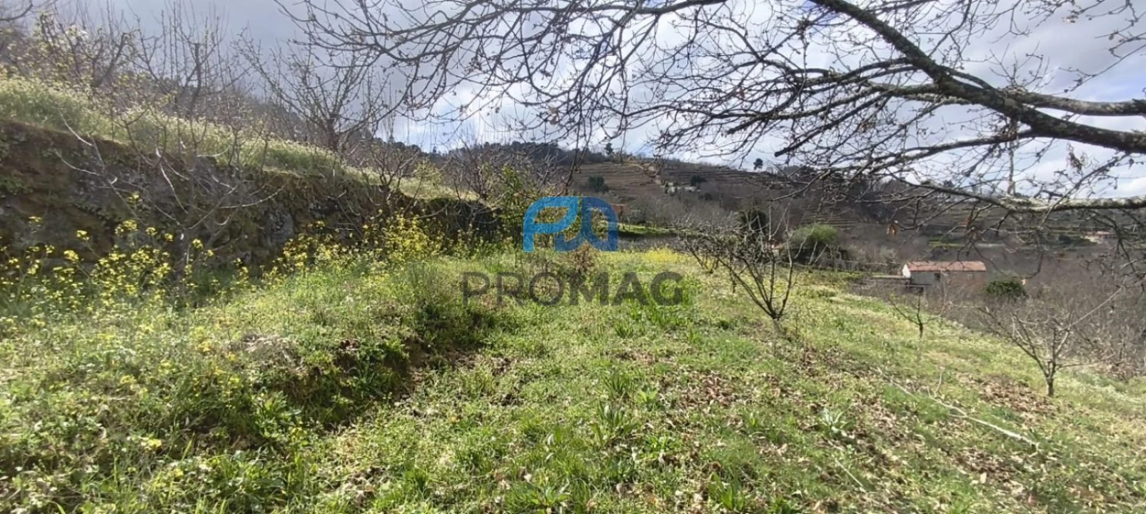 Terreno para Venda em São João de Fontoura Foto 48