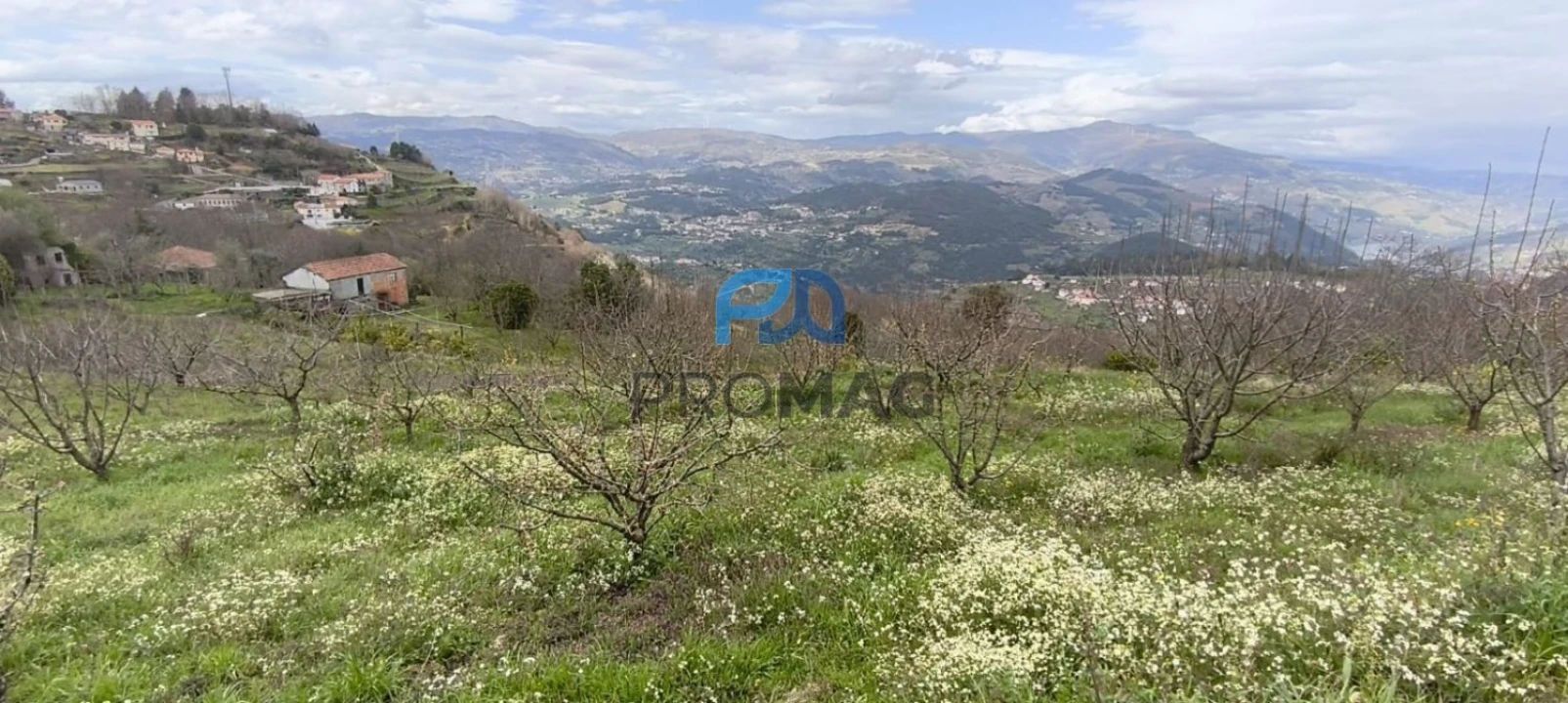 Terreno para Venda em São João de Fontoura Foto 46
